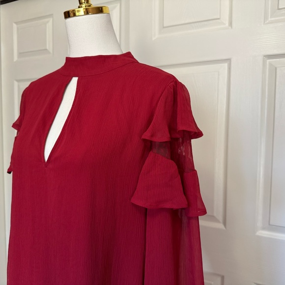 NWT Express Red Chiffon Long Sleeve Shift Dress - Picture 4 of 15